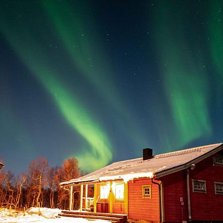 Trivelig Hytte I Senja. Экстерьер фото