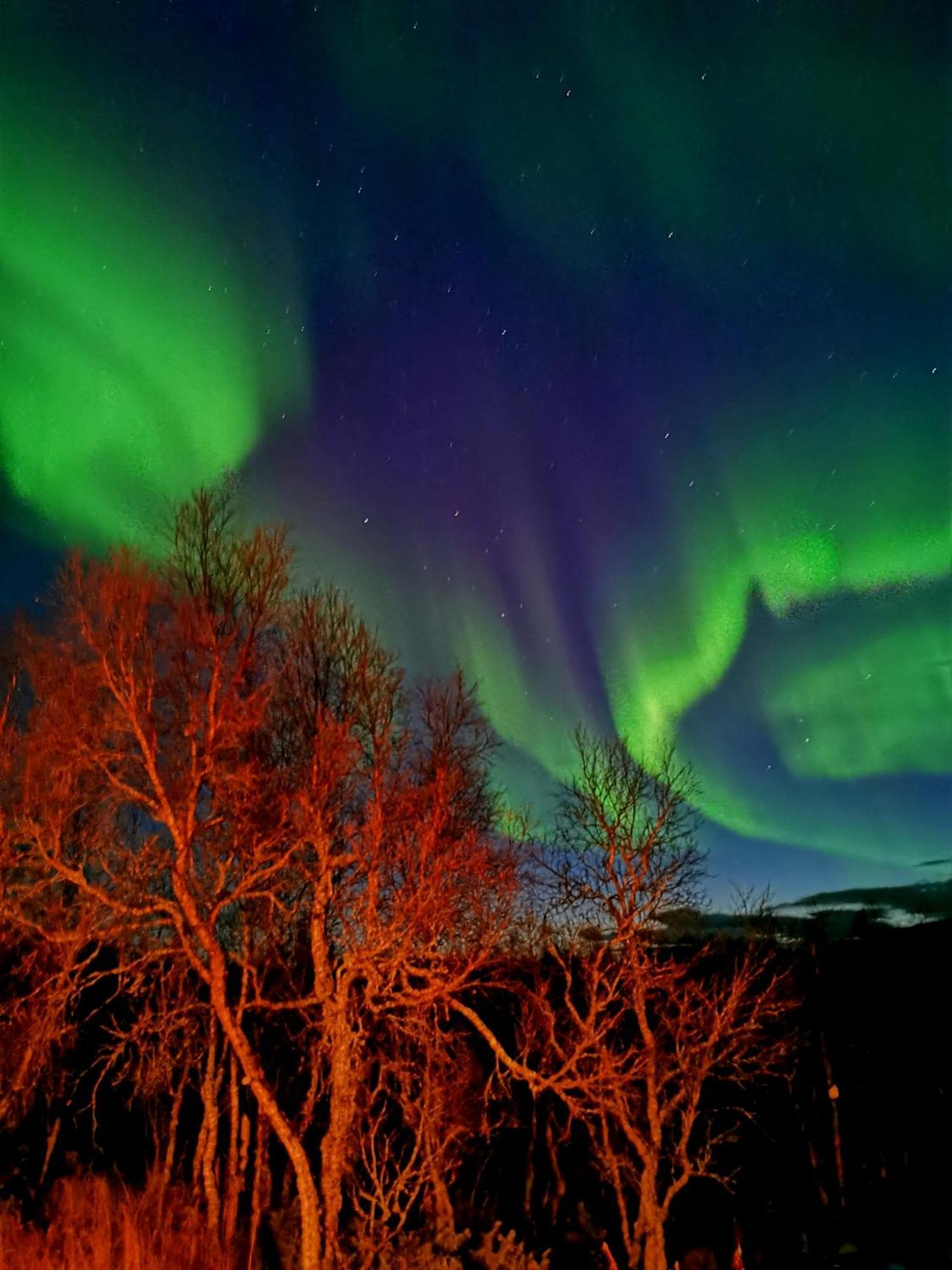 Trivelig Hytte I Senja. Экстерьер фото