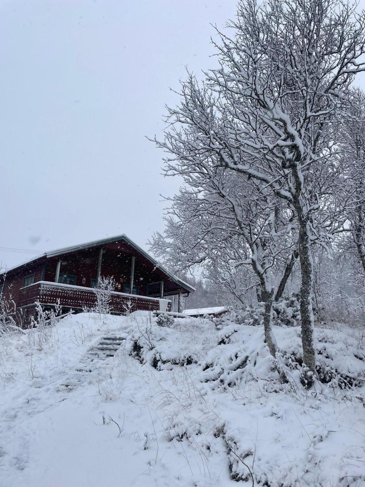 Trivelig Hytte I Senja. Экстерьер фото